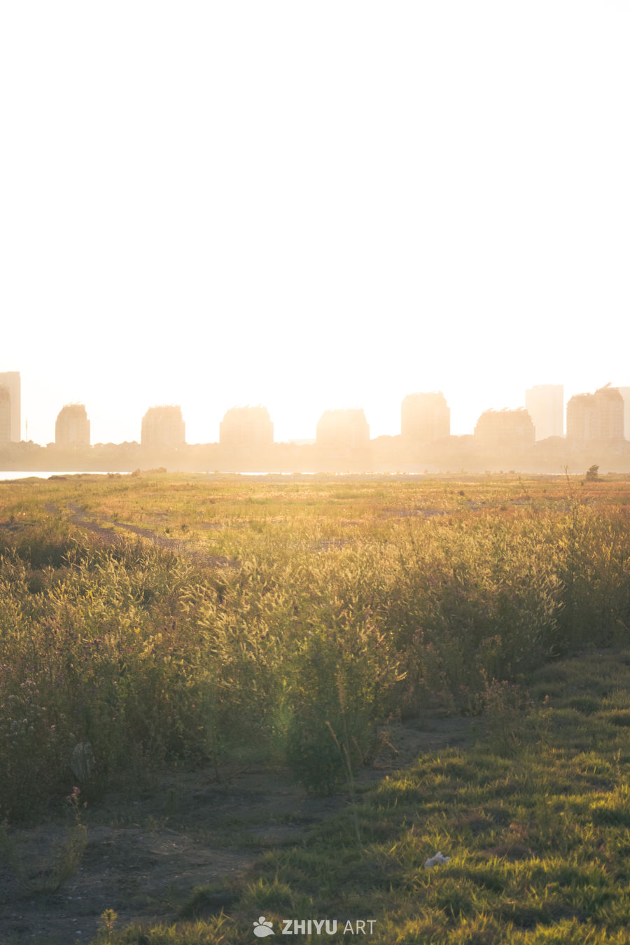 日落时分的城市与草地