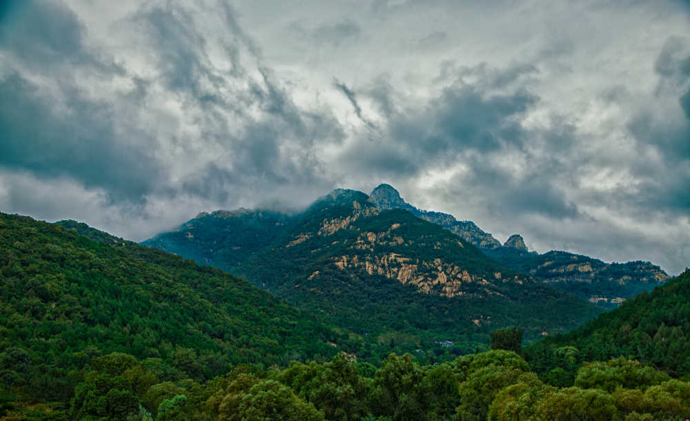 泰山