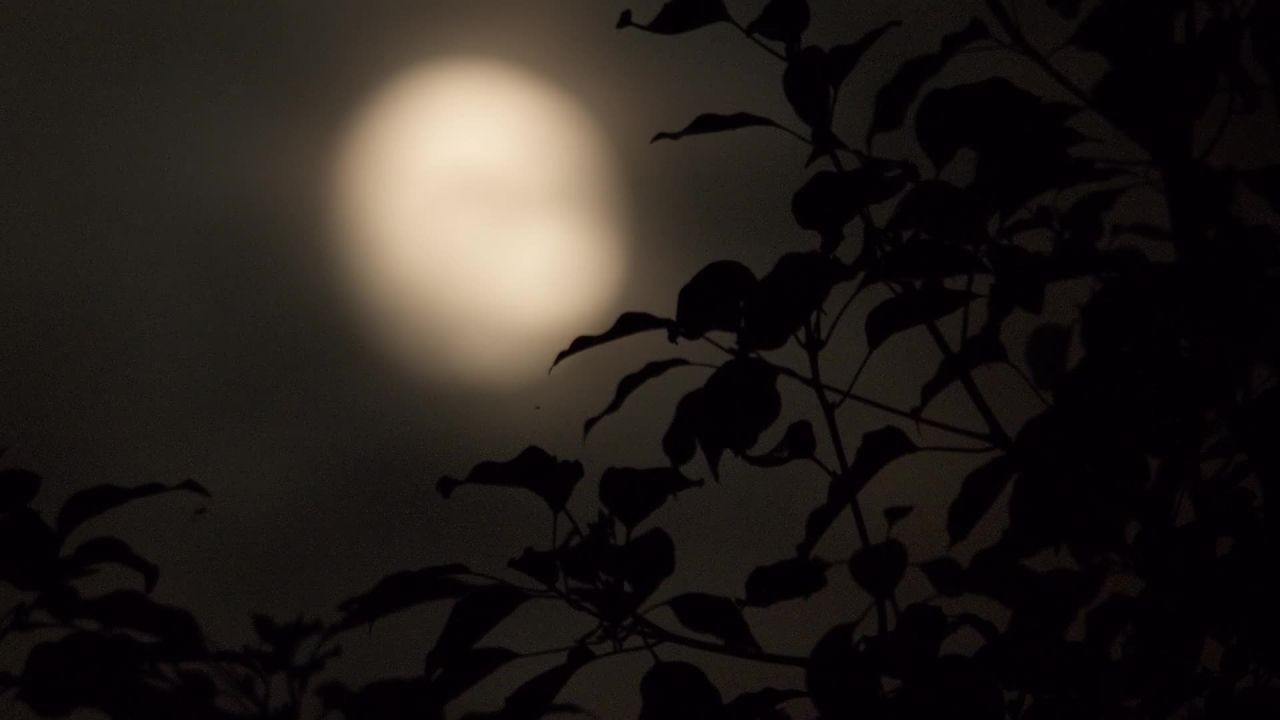 深夜玩天空月亮月球皎洁明月中秋满月 20