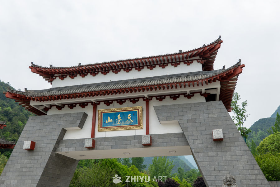 森林公园 13