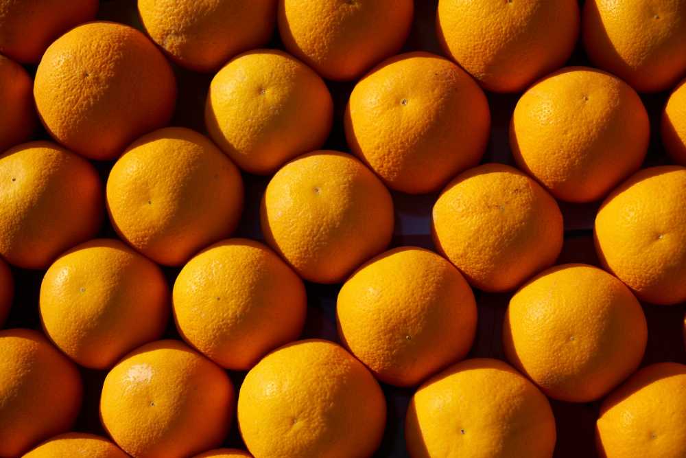 橙色水果食品健康