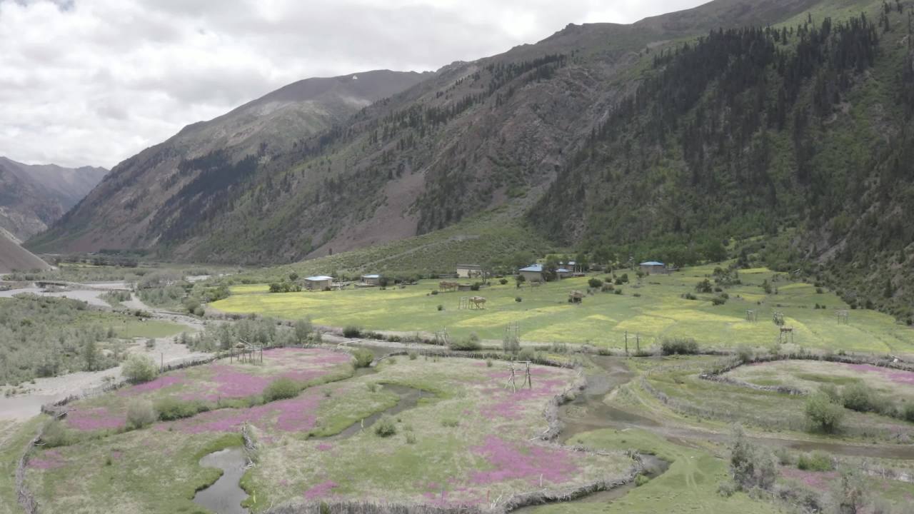 高山绿谷中蜿蜒河流与村落