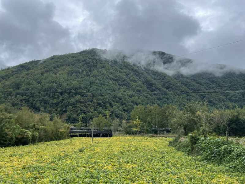 秦岭一路 14