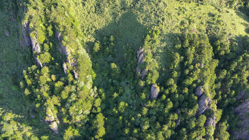 航拍湖北神农架大山石林
