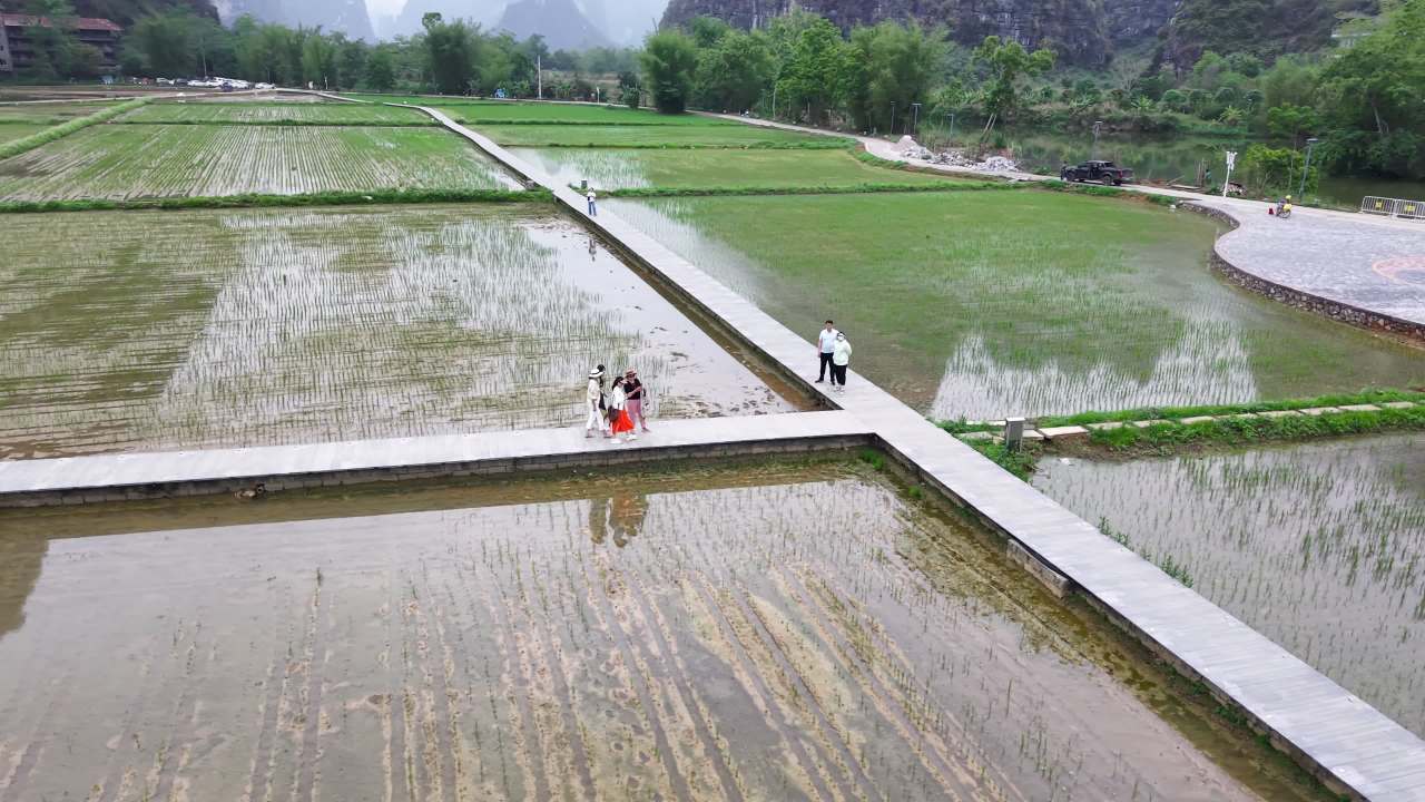 乡村 39