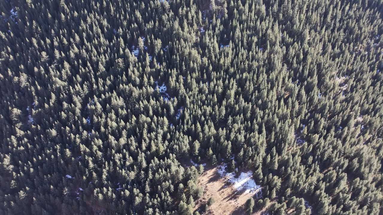壮观森林峡谷全景航拍