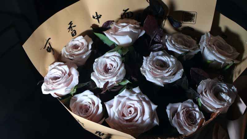 侧光玫瑰花