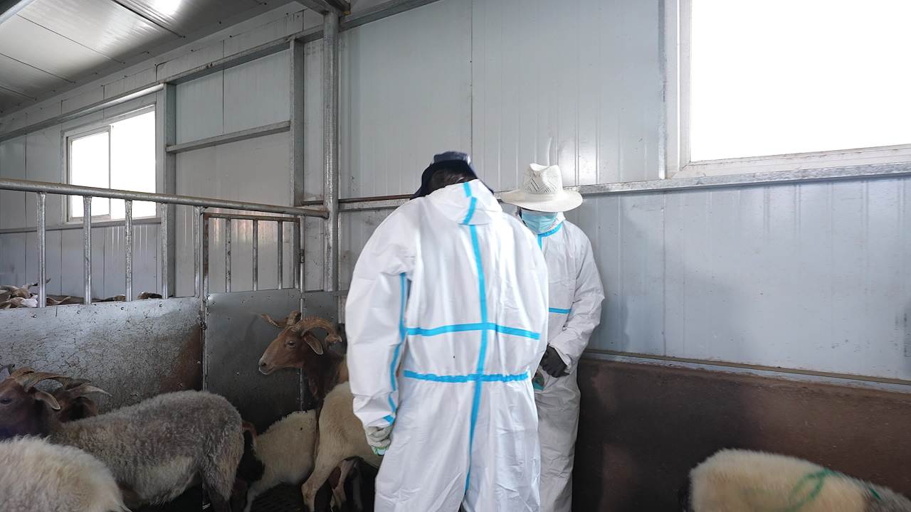 畜牧兽医团队工作记录