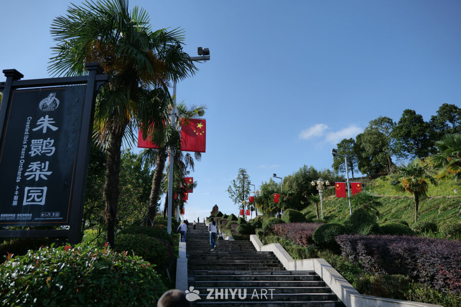 朱鹮梨园景区 4