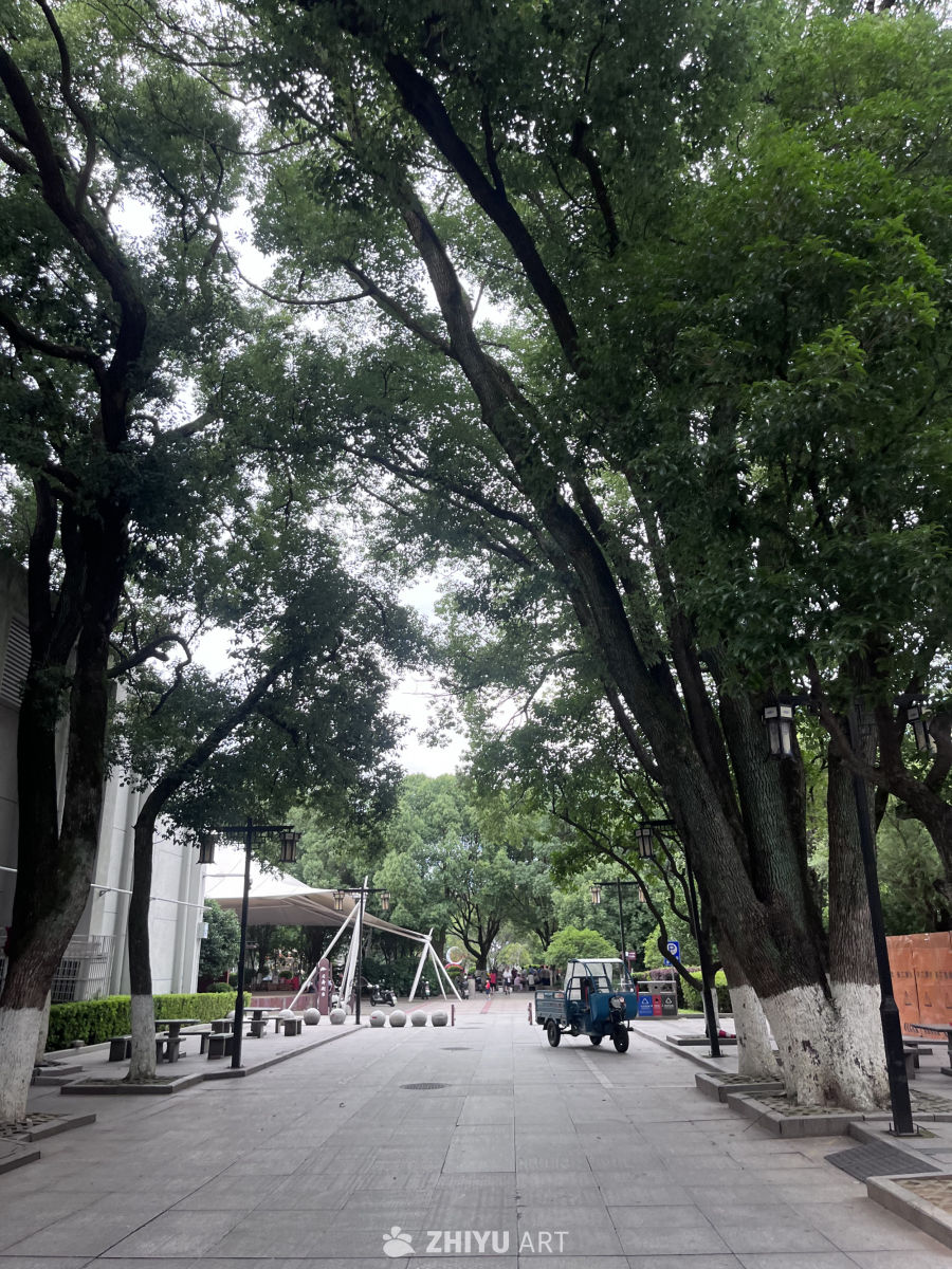 绿荫下的城市公园