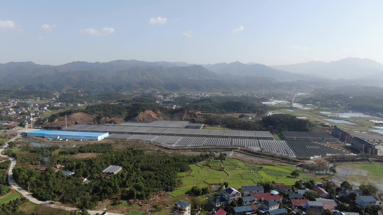 航拍现代农业大棚种植基地