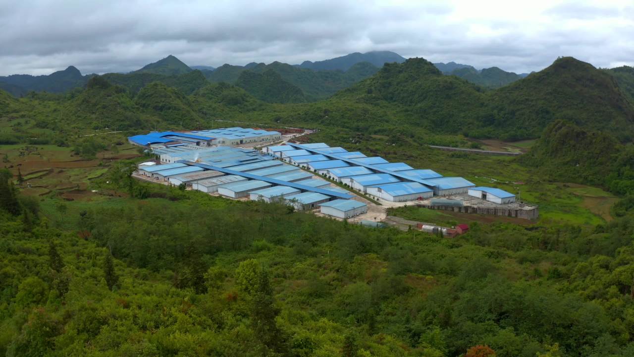 山间工厂全景