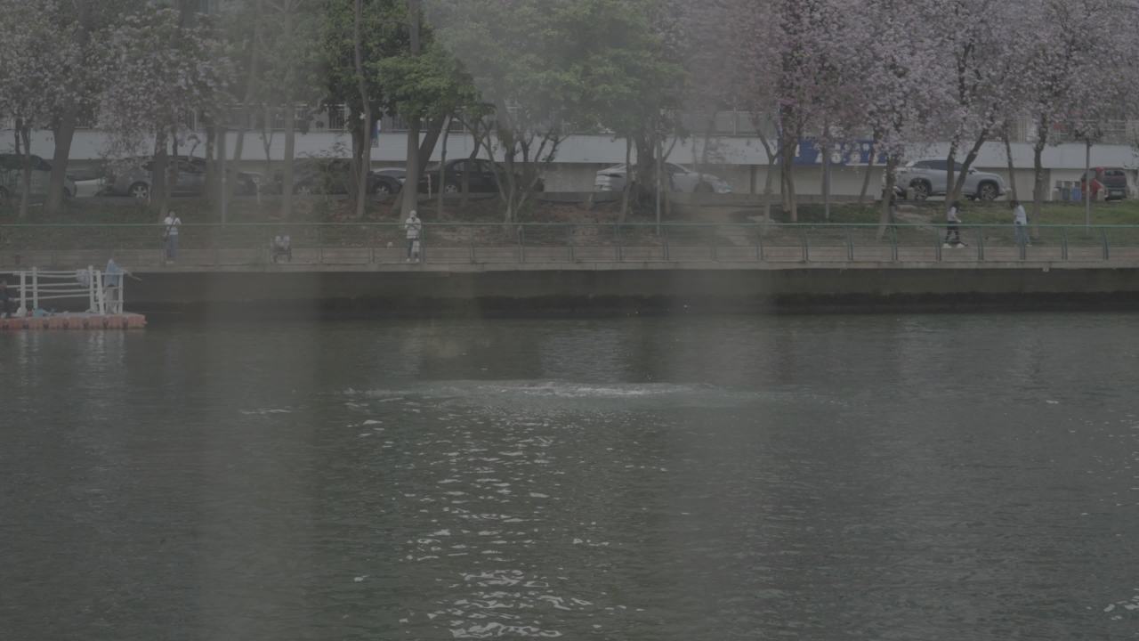 水上公交 9