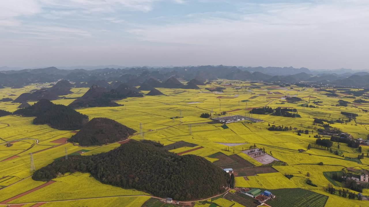 油菜花海与山丘的宁静之美