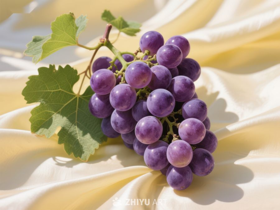 新鲜紫葡萄静置丝质布上 656