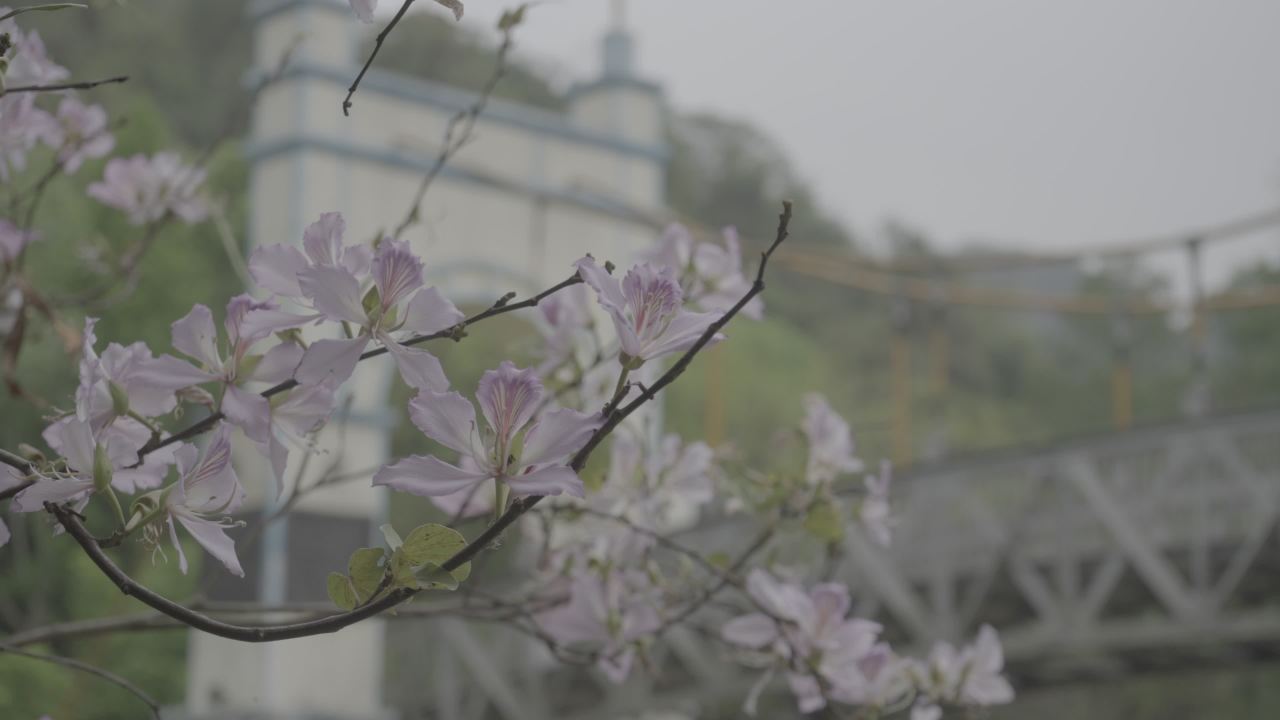 龙潭公园 14