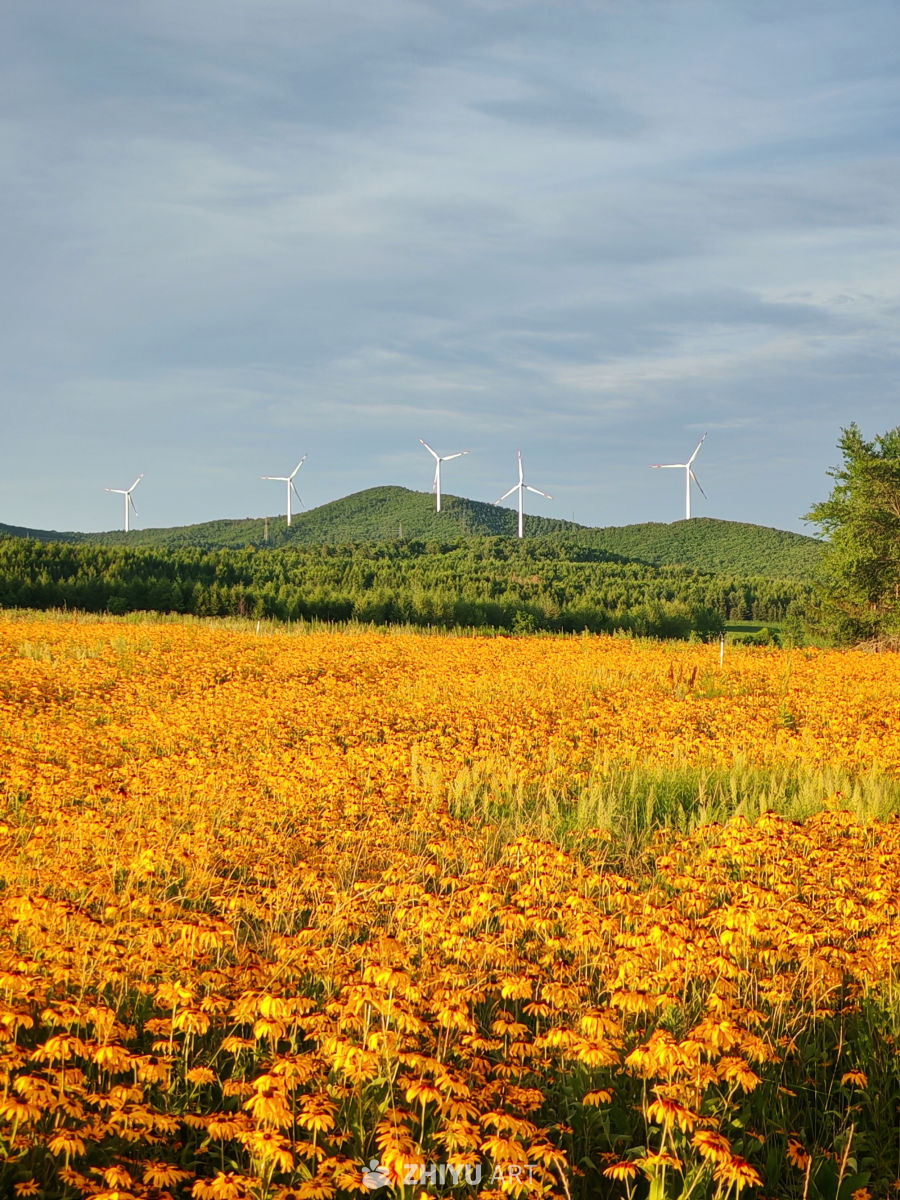 云天织秋 野岸风电的和鸣