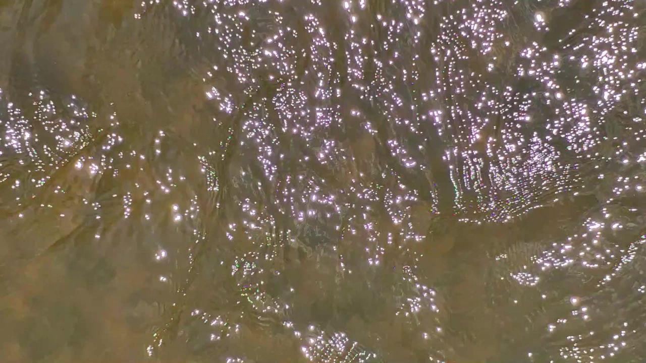 小溪流水金光闪烁