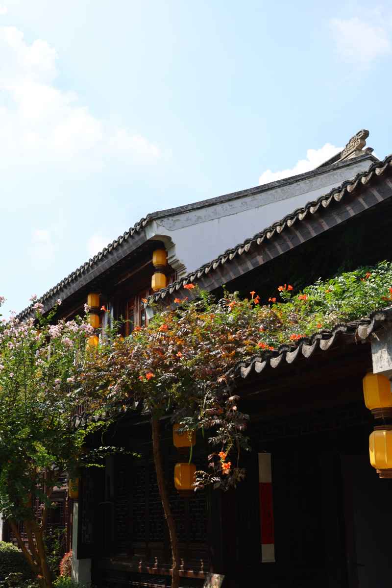 午后小院