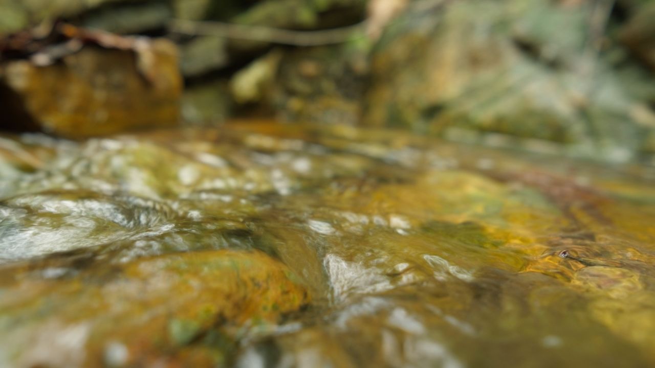 清澈山泉水温泉矿泉水小溪山涧 20