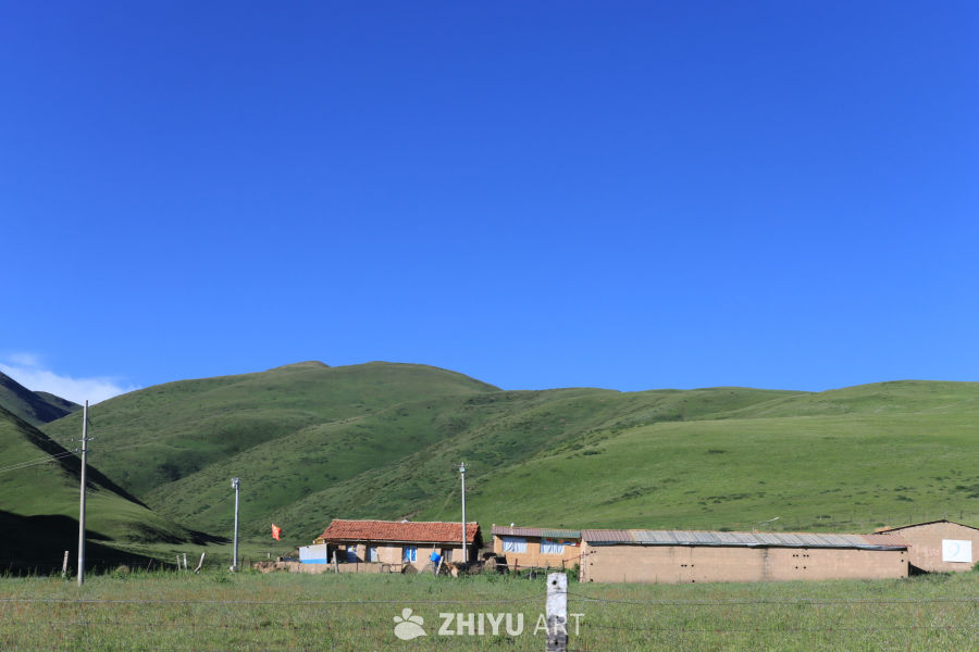 草原上的宁静小屋