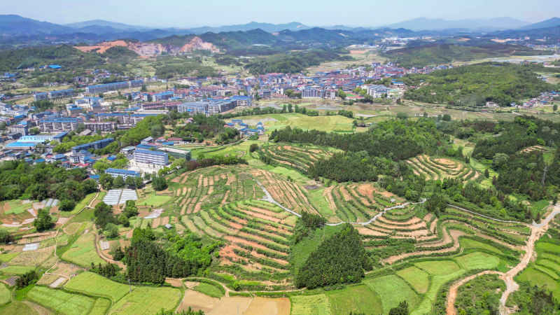 乡村田园农业种植农田航拍 