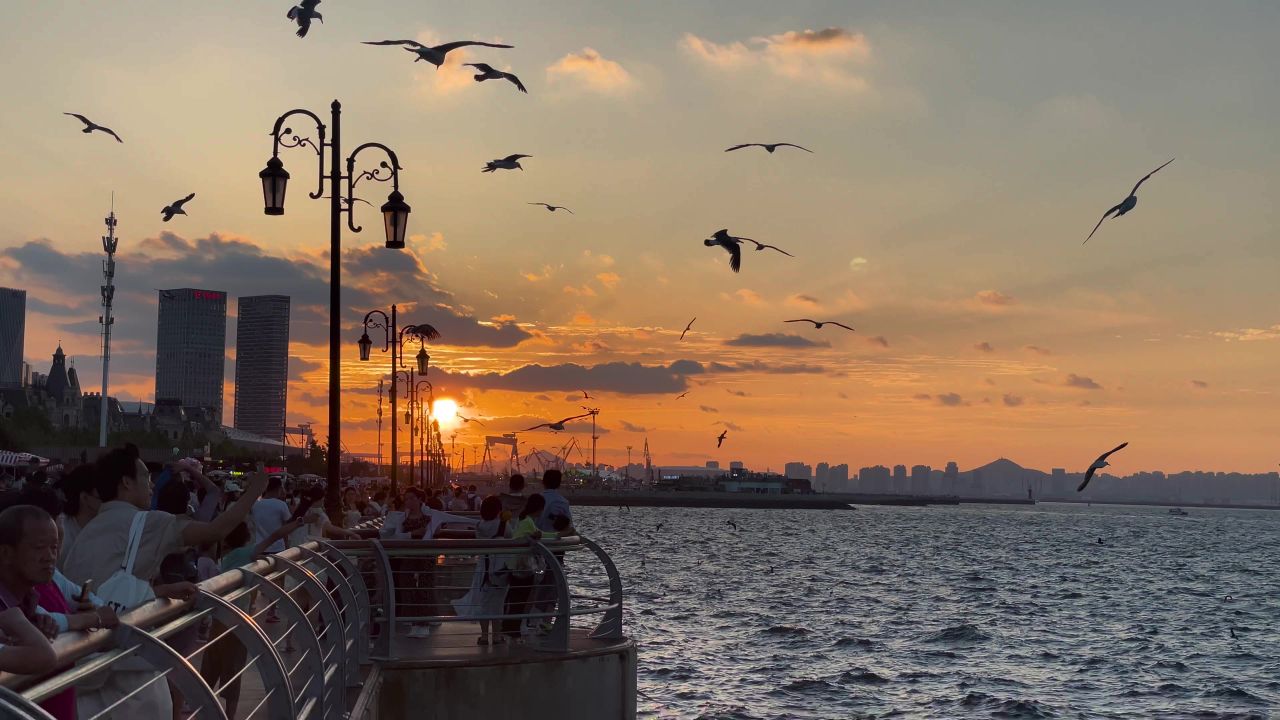 大连海滨海岸码头夕阳海鸥2