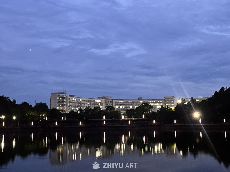 湖畔夜景：城市与自然的交响