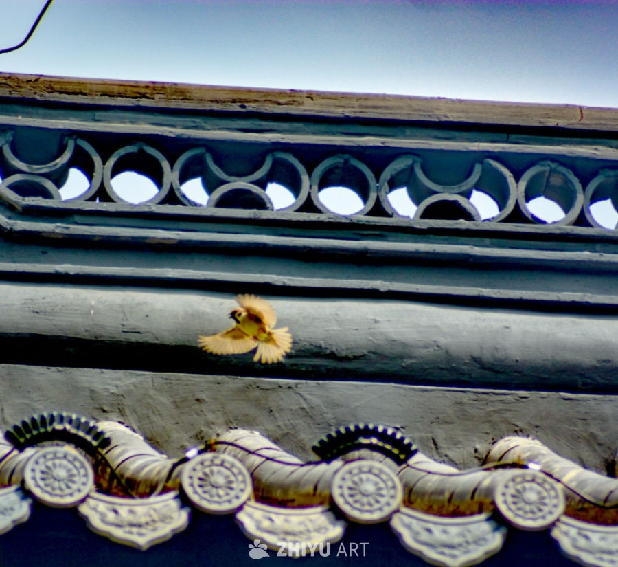 飞鸟掠过古建筑