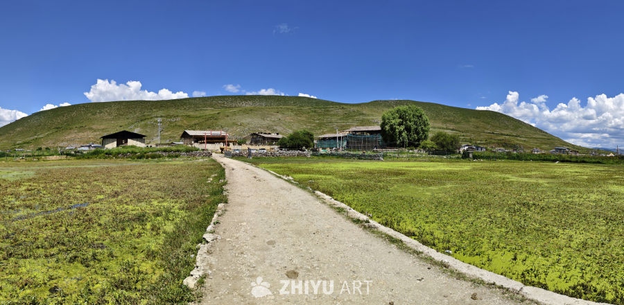 草野间，一条路往山边
