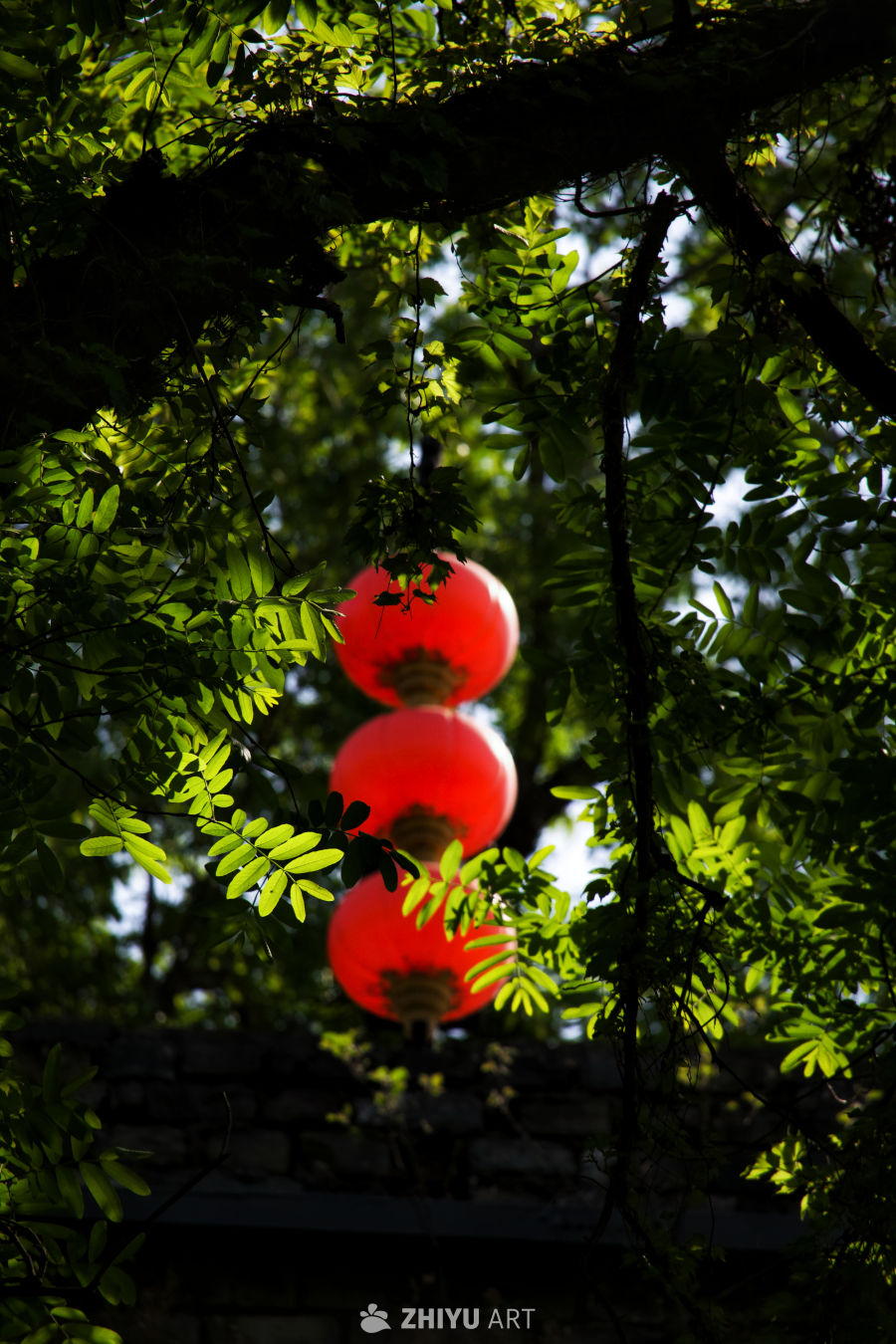 “绿肥红瘦”