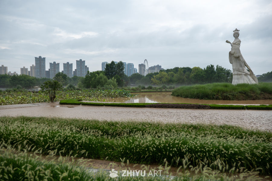 湿地公园 6