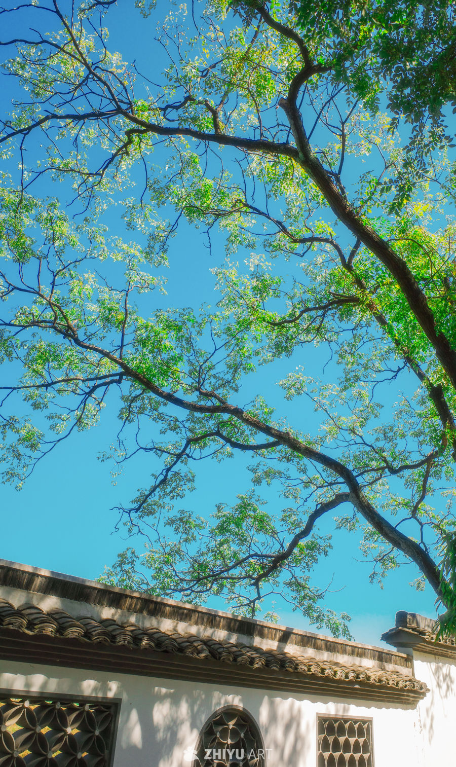 绍兴东湖丨湖光山色