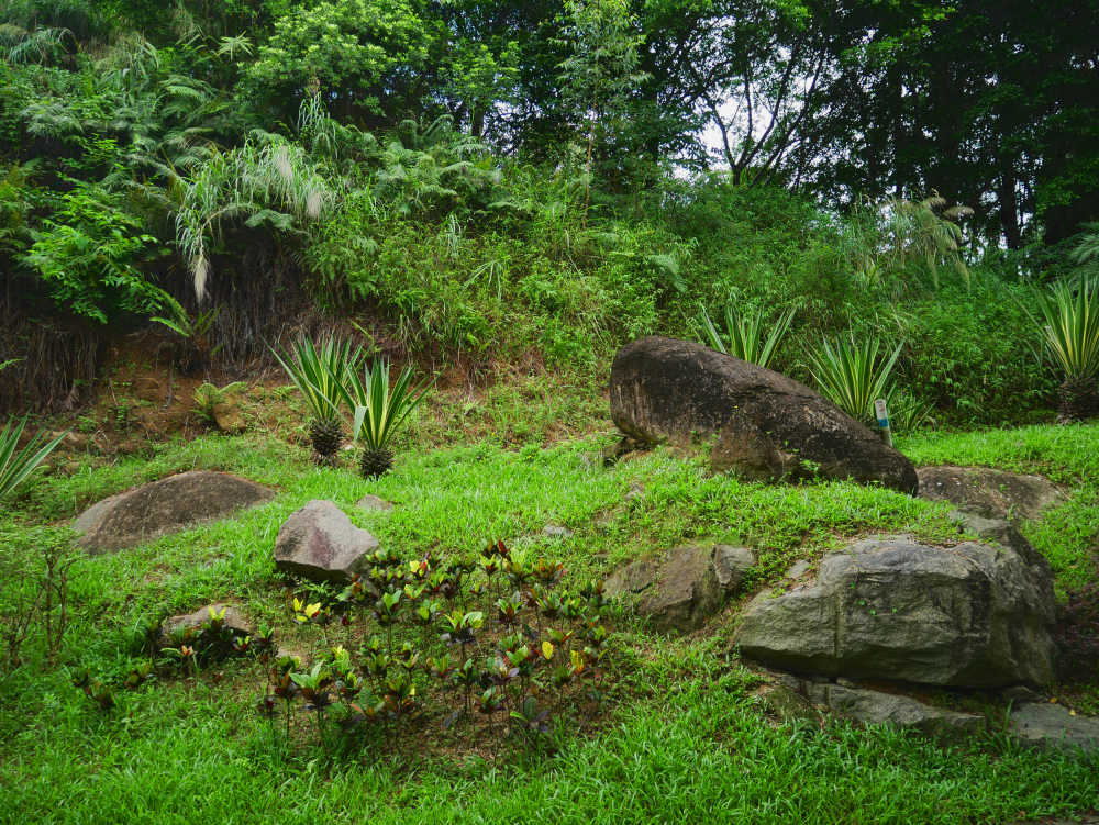 路边小景
