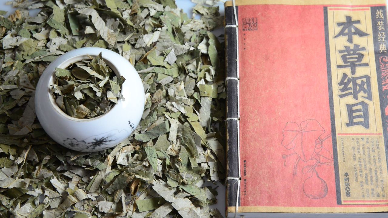荷叶中药材 5