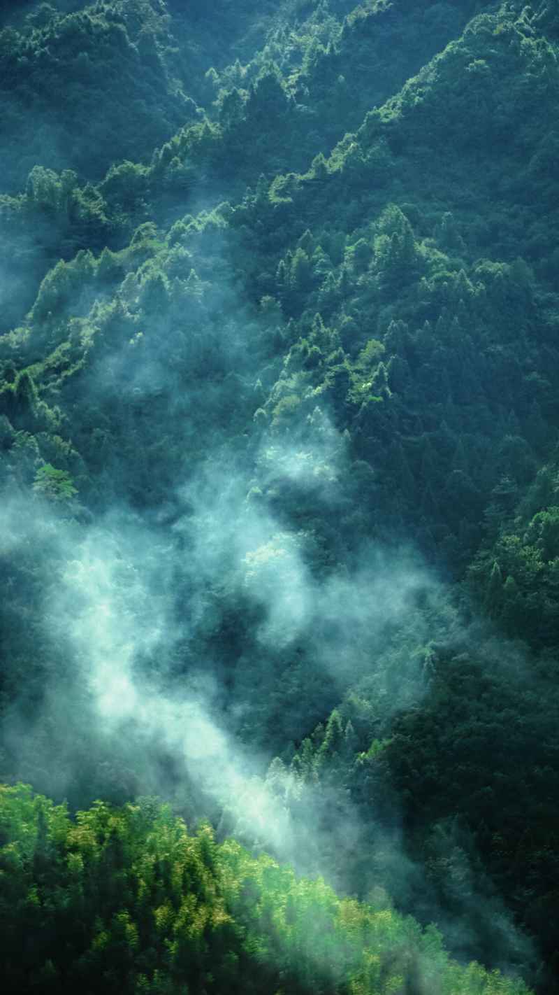 雾