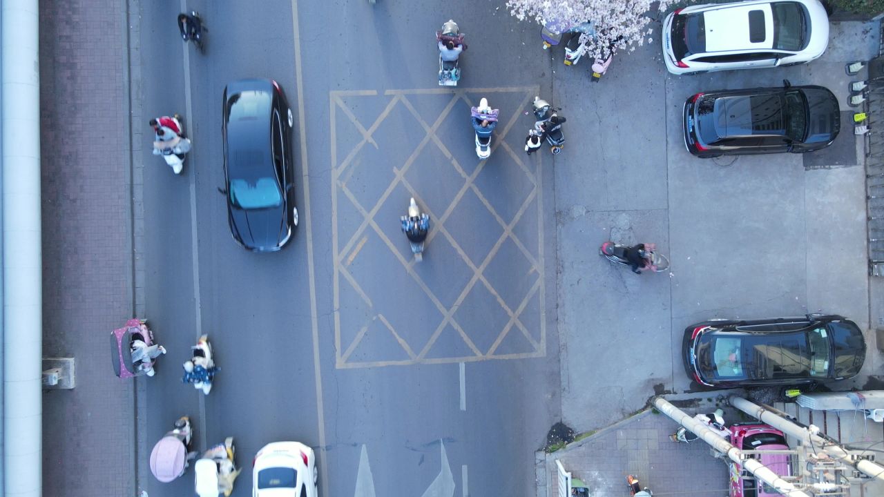 平顶山湛北路玉兰花航拍空镜