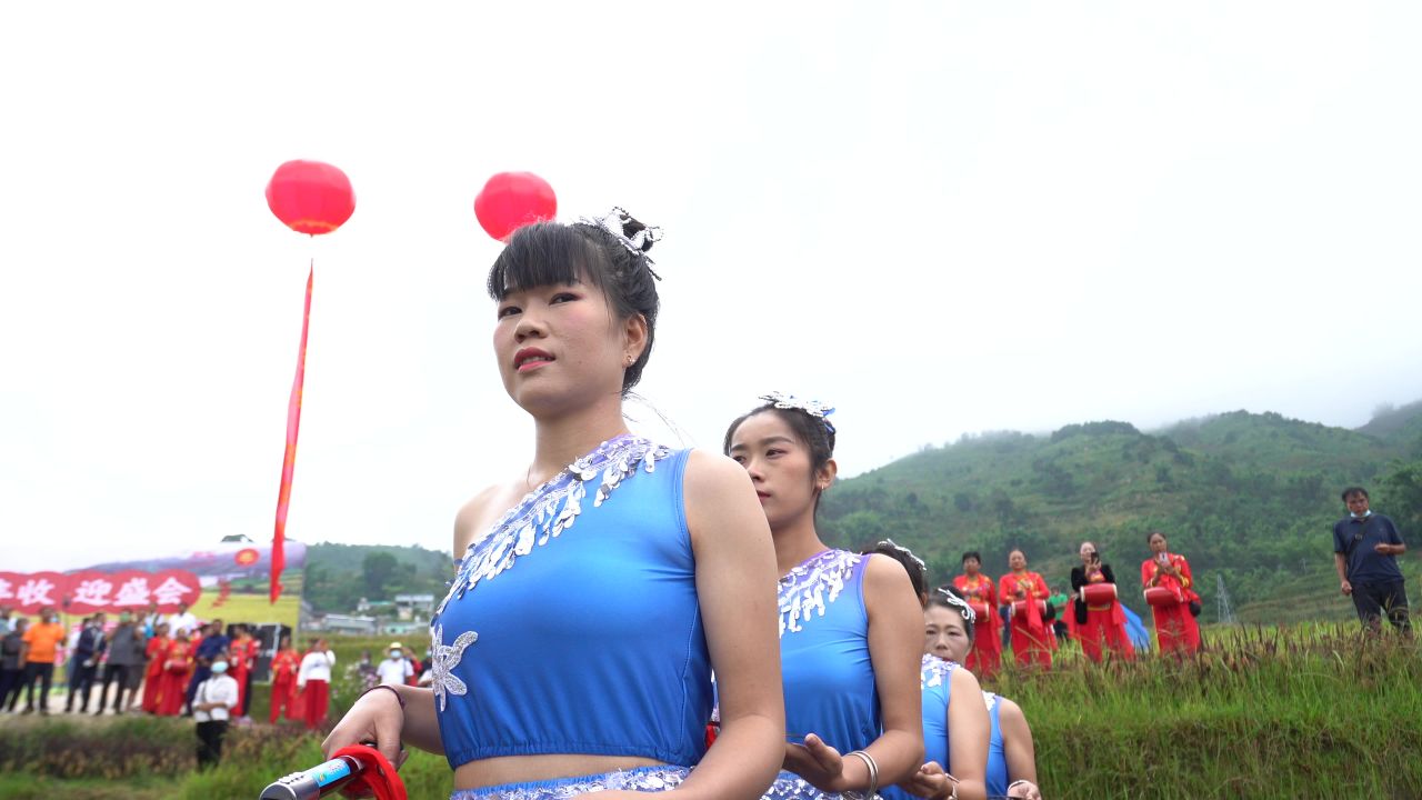 稻谷丰收节 16