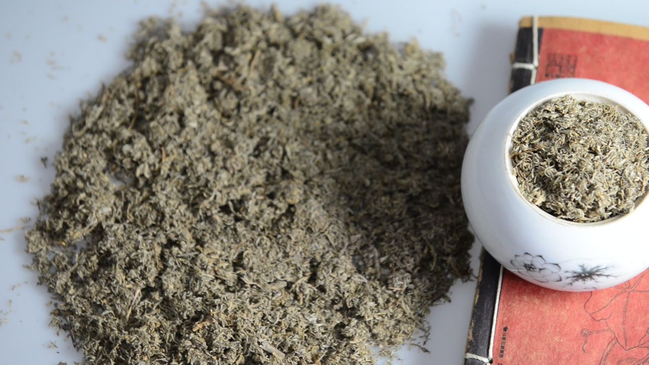 中药材茵陈 9