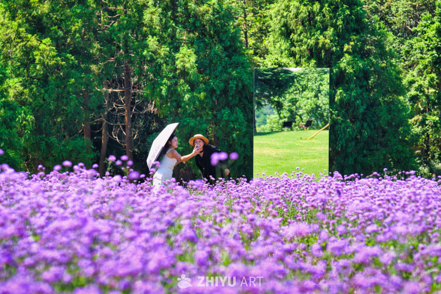 祺泰森林氧吧 16