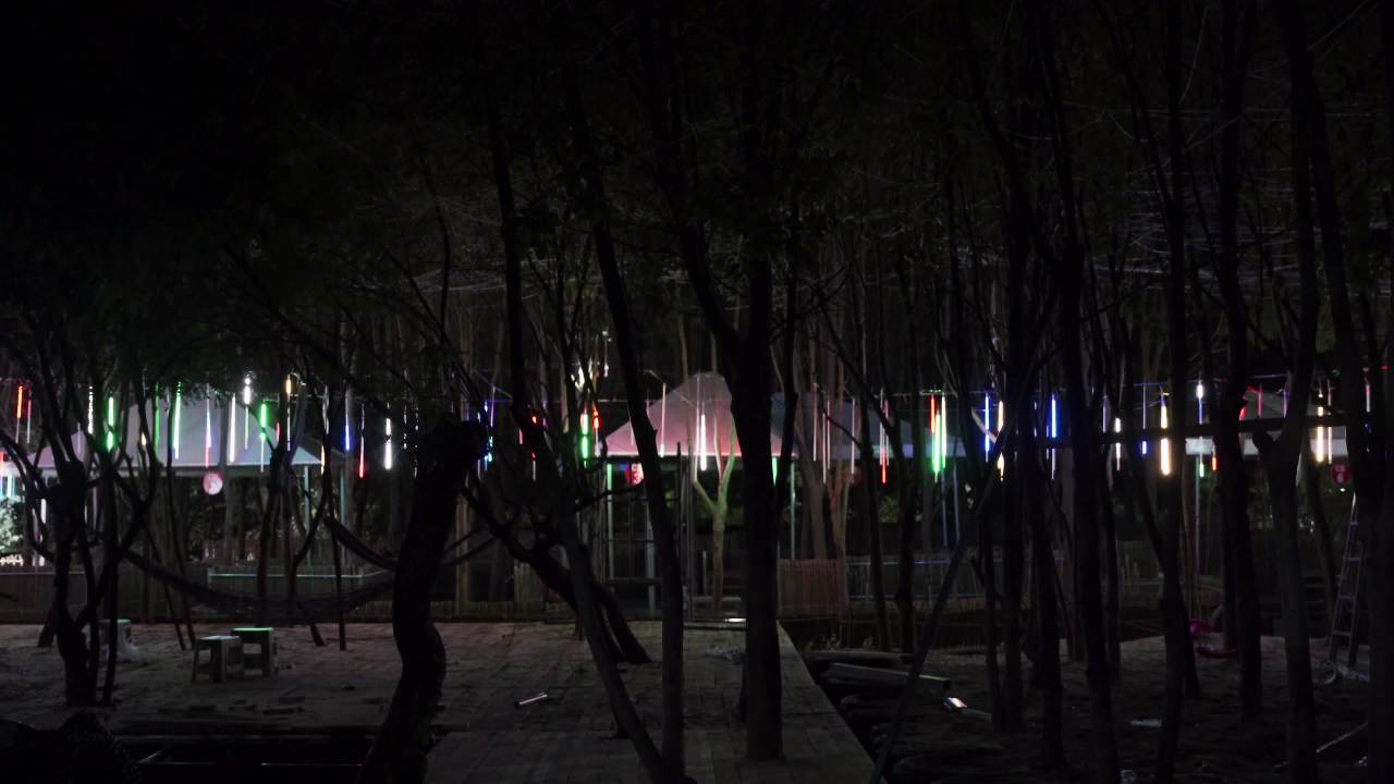夜幕下的灯光森林