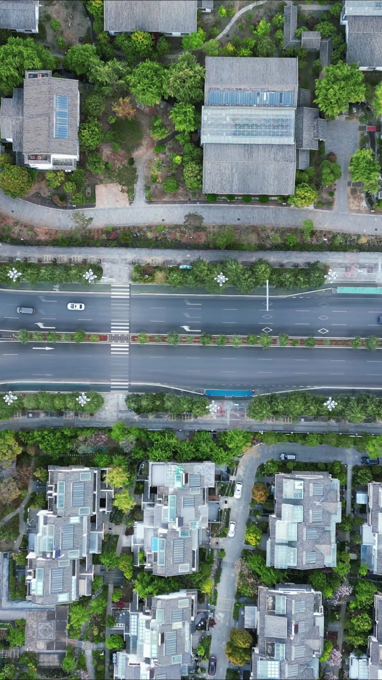 云南丽江城市风光竖屏航拍  