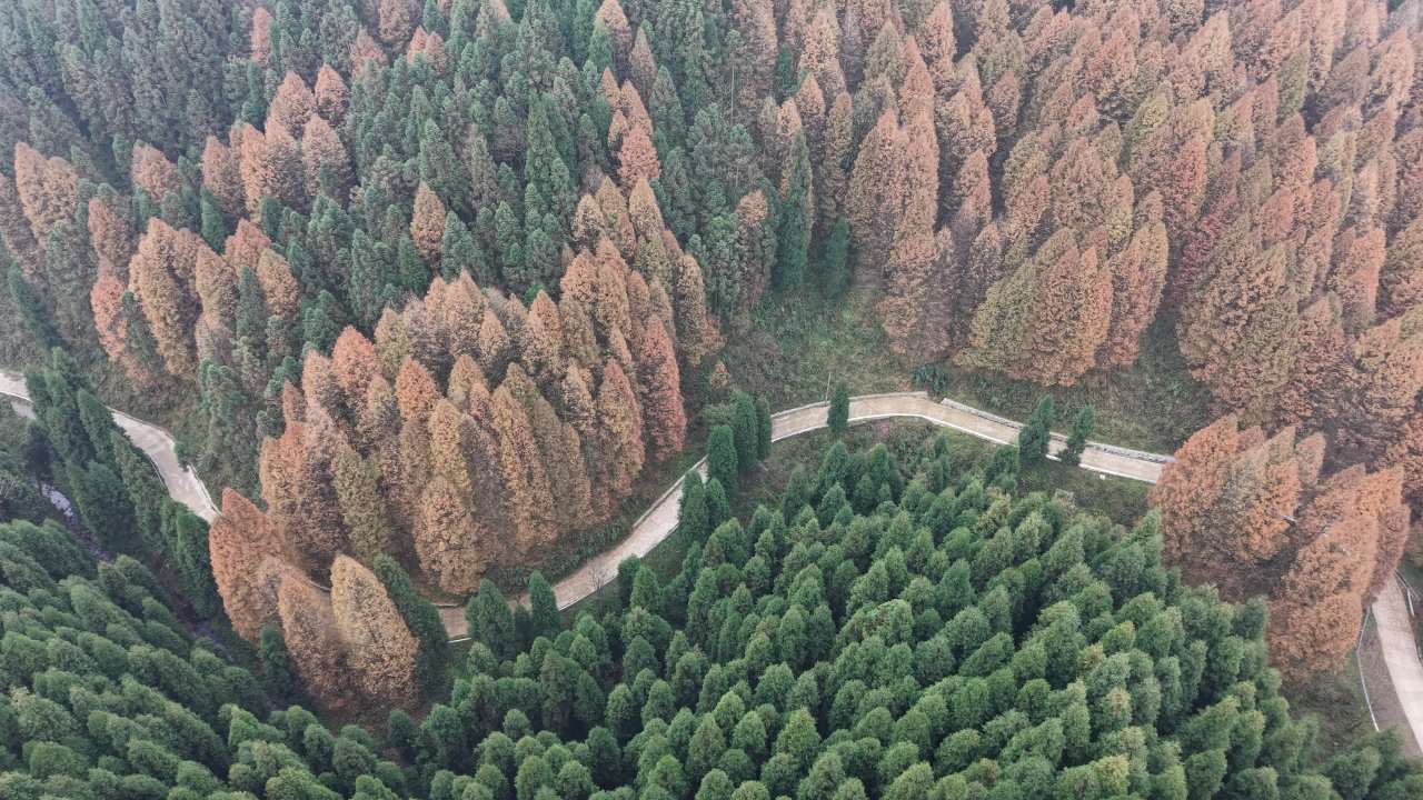 DJI_20251125132503_0008_D 4