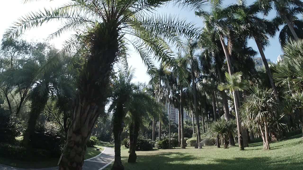 公园 19