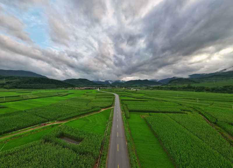 DJI_0598-01-01-01 1