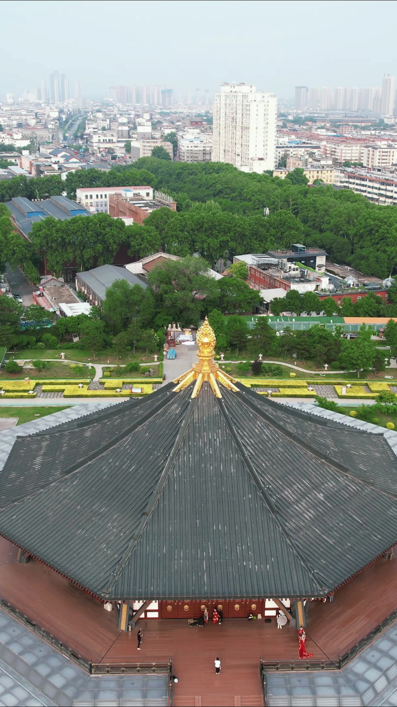 河南洛阳历史文化古建筑竖屏航拍 