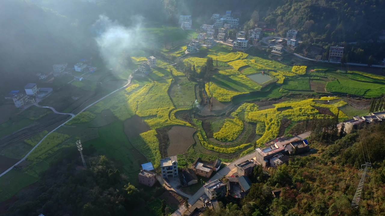 晨雾中的田园风光