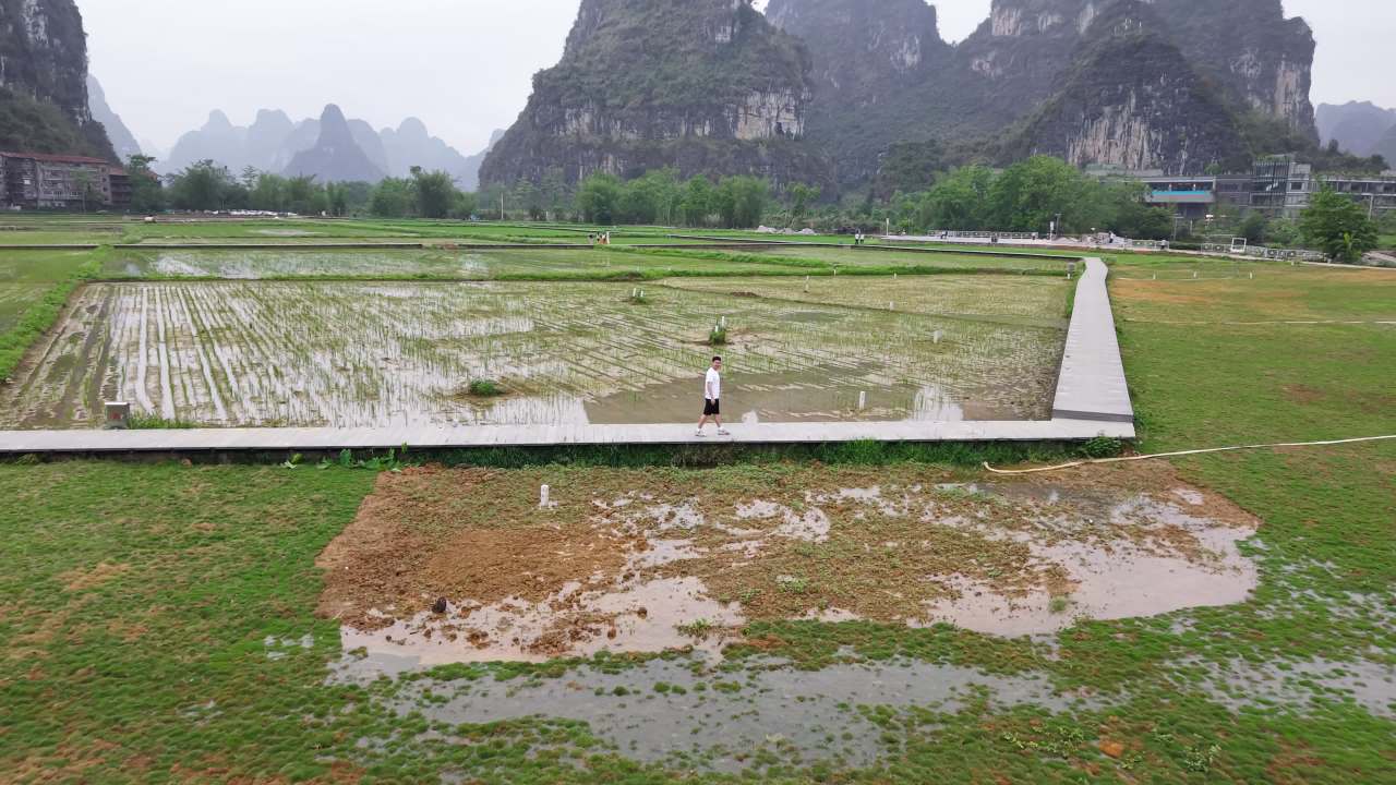 乡村 36