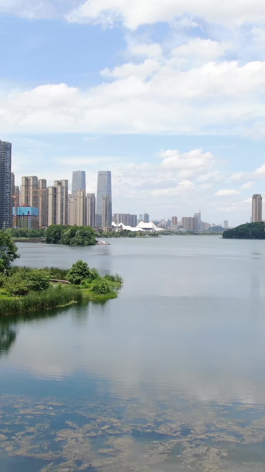 城市湖畔的宁静与繁华
