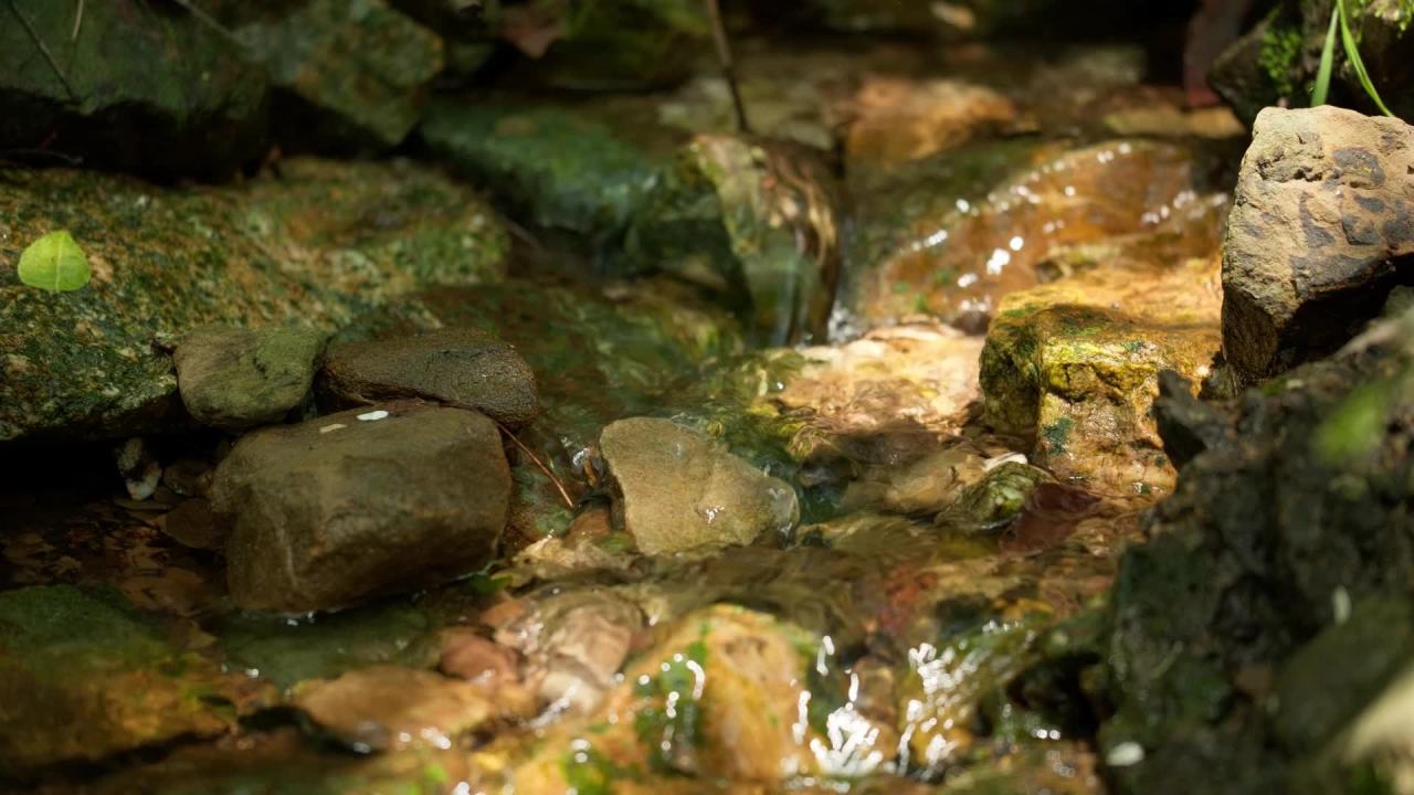 山泉水矿泉水潺潺小溪流水瀑布 18